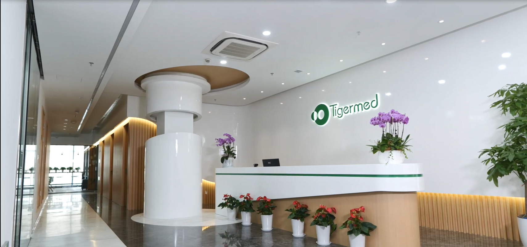 Tigermed Replaces Legacy System Achieving 50% Efficiency Gains Across 40+ Countries